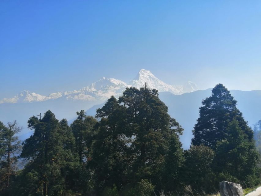 From Pokhara: Budget 2 Night 3 days Poon hill trek - What the $179 price really covers
