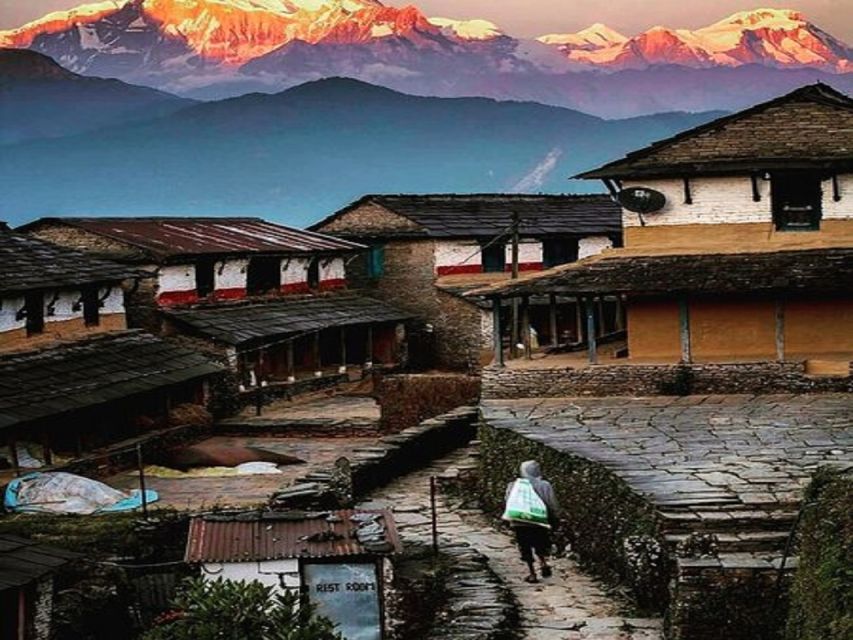 From Pokhara: Guided Tour to Visit 4 Himalayas View Point - Why this Pokhara day trip works