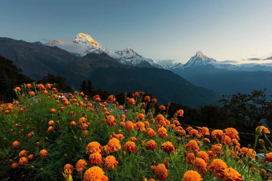From Pokhara: Guided Tour to Visit 4 Himalayas View Point - Pumdikot’s Shiva statue and Himalayan panorama