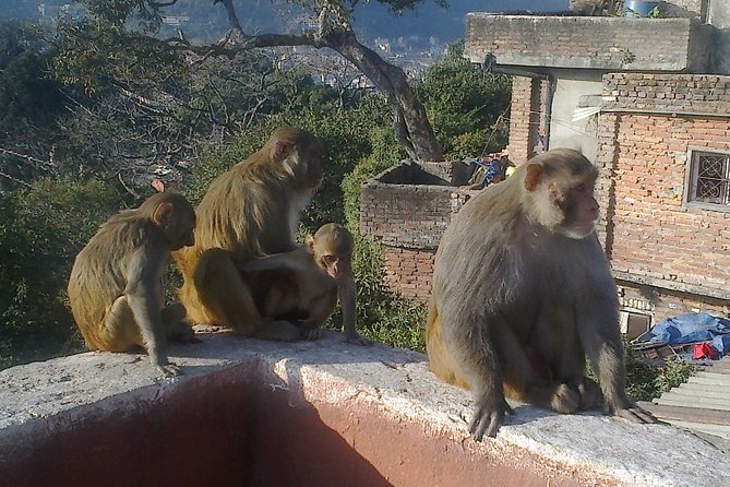 Full Day Kathmandu City Sightseeing Tour of UNESCO Heritage Sites - Small-group transport and the real pace of the day