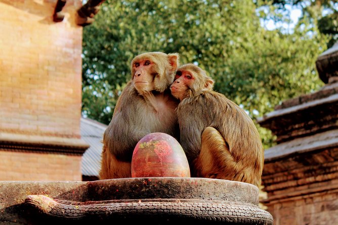 Full Day Private Tour of Kathmandu - UNESCO World Heritage Sites - Kathmandu Durbar Square and the old royal center