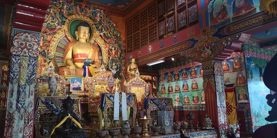 Full Day Tibetan Cultural Tour - Pema Ts’al Sakya Monastic Institute