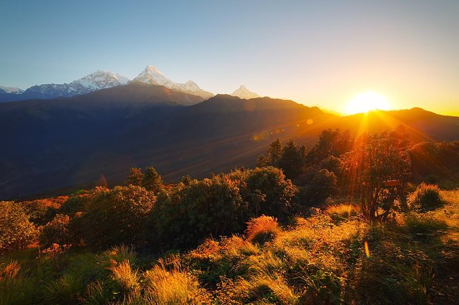 Ghorepani - Poon Hill Trek 3N-4D - Forest trails and the overnight stop at Tadapani