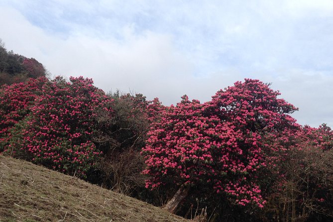 Ghorepani Poon Hill Trek - What is included in the $399.67 price