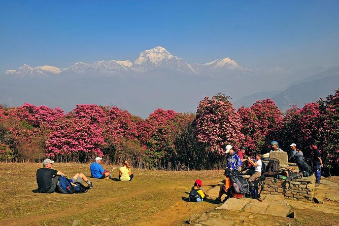 Ghorepani Poon Hill Trek - Day 1: Kathmandu to Pokhara by tourist bus