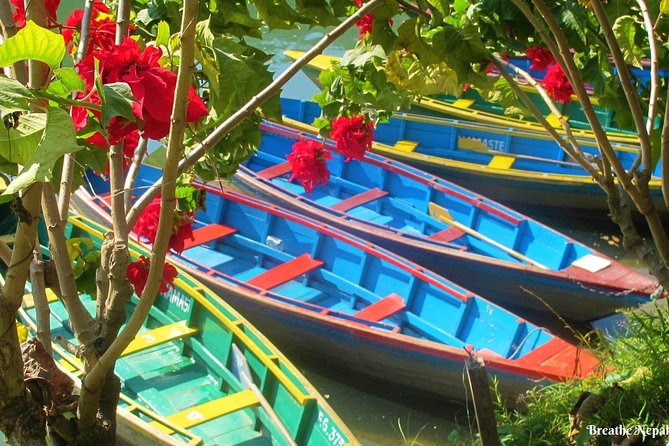 Half-Day Private Pokhara Tour - Who will enjoy this Pokhara tour most