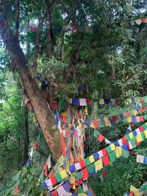 Healing Day tour - Shaman Healing - The personal consultation and ritual