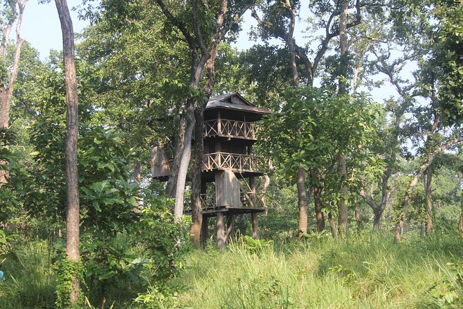Jungle Towernight Stay In Chitwan National Park ,nepal-2 Nights 3 Days Package - Key points before you book