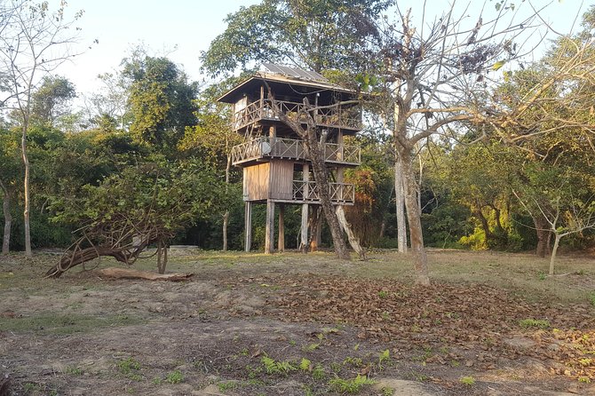 Jungle Towernight Stay In Chitwan National Park ,nepal-2 Nights 3 Days Package - Why the tower night is the main event