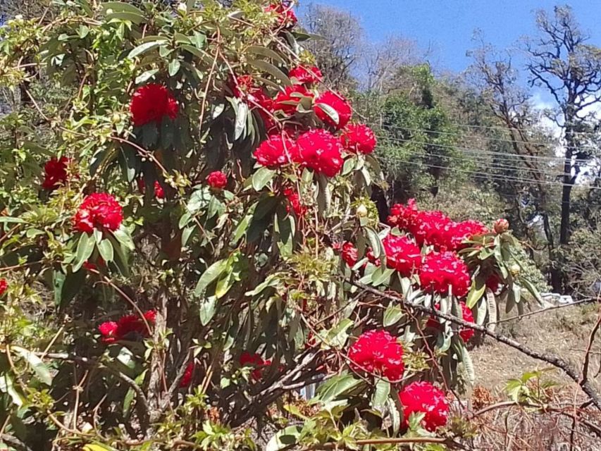 Kathmandu: 10-Day Adventurous Annapurna Circuit Trek - Day 2: Dharapani to Chame through forest and bridges