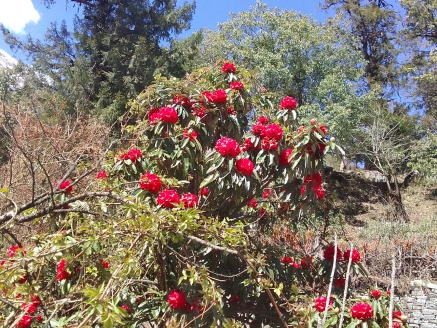 Kathmandu: 10-Day Adventurous Annapurna Circuit Trek - Day 3: Chame to Upper Pisang