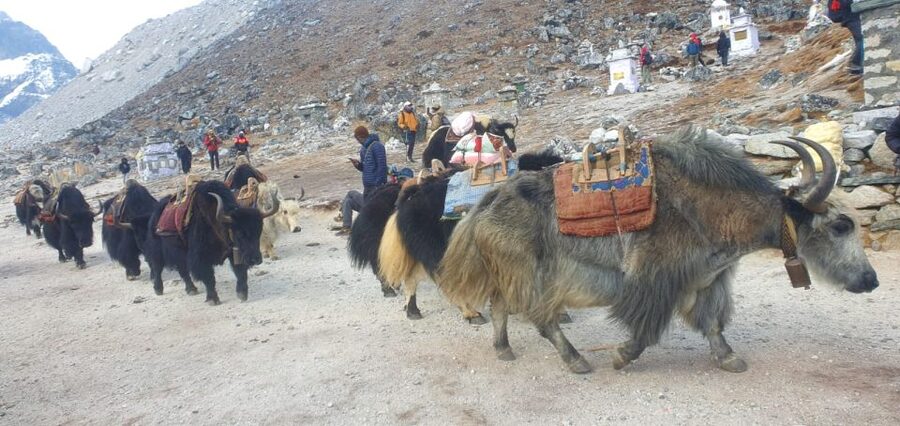 Kathmandu: 14-Day Everest Base Camp with Kala Patthar Trek - What the $1,296 price really covers