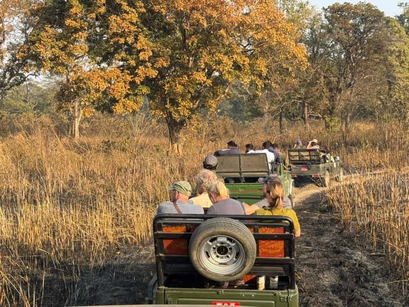 Kathmandu: 3-Day Chitwan Safari Tour with Hotel Transfers - Accommodation, meals, and comfort