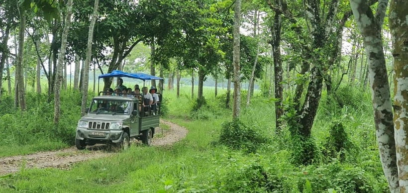 Kathmandu: 3-Day Chitwan Safari Tour with Hotel Transfers - Final verdict: good value with two clear cautions