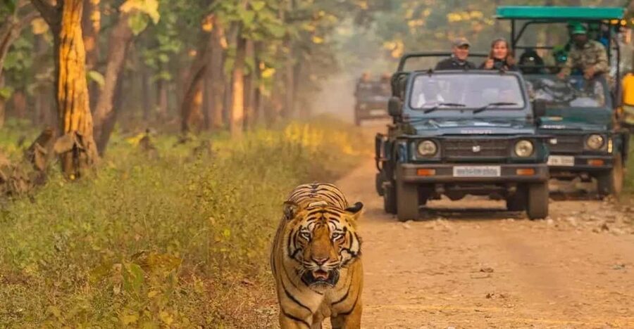 Kathmandu: 4-Day Private Chitwan National Park Safari Tour - Day one: the bus from Kathmandu and an evening in Chitwan