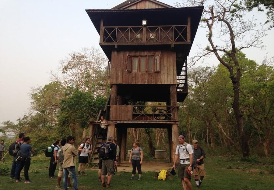 Kathmandu: 4-Day Private Chitwan National Park Safari Tour - Day four: a final nature walk and the onward connection