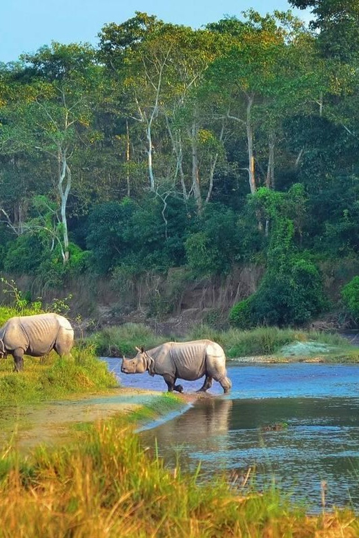 Kathmandu: 4-Day Private Chitwan National Park Safari Tour - Is $202 a good value?