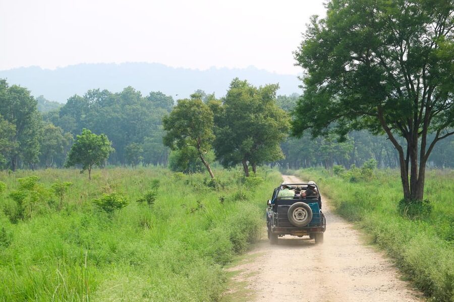 Kathmandu: 4-Day Private Chitwan National Park Safari Tour - Food, accommodation, and the pace of the stay