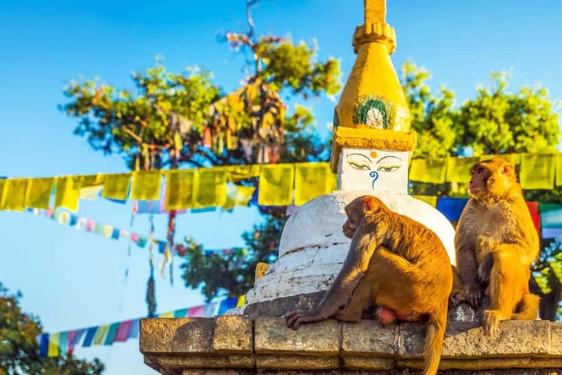 Kathmandu 4-Heritage Sites Tour - Should you book the Kathmandu four-site tour?