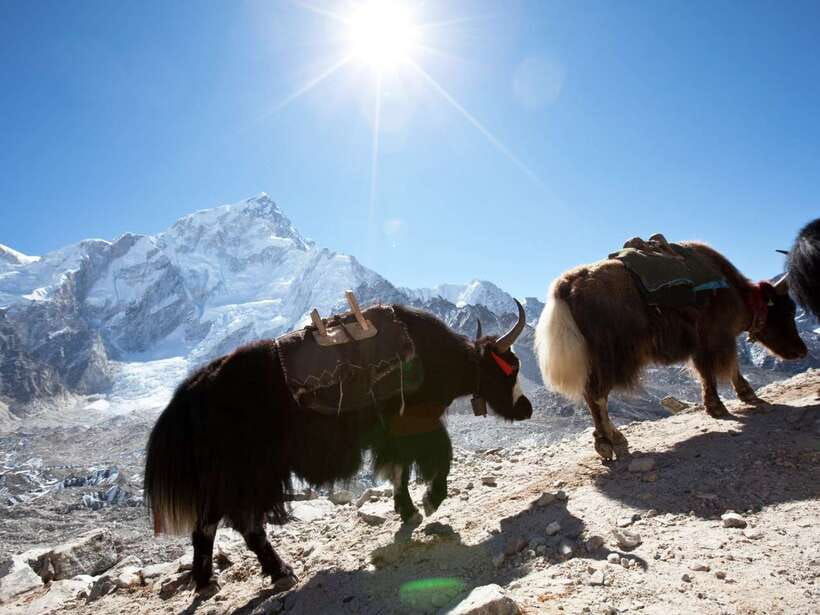 Kathmandu: 6 Days Langtang Valley Trek with Kyanjin Ri - Why Langtang Valley works so well in six days
