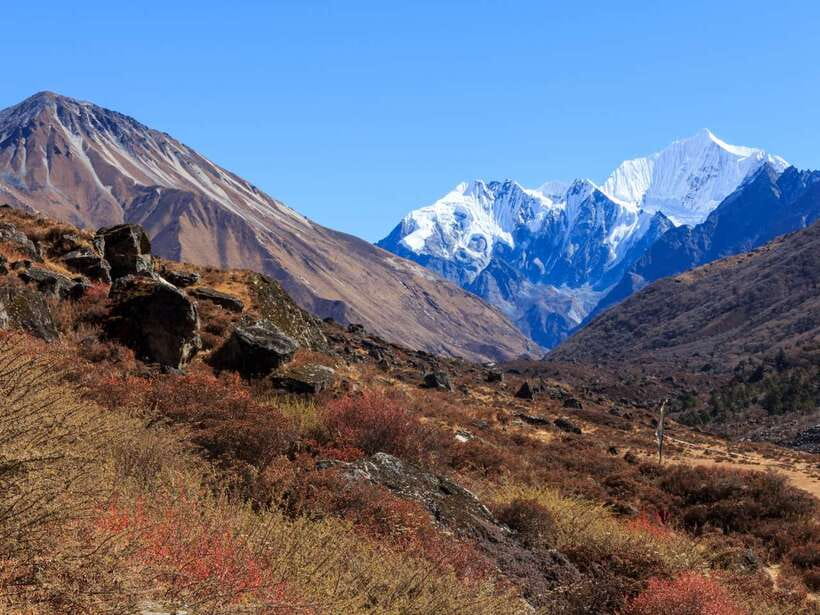 Kathmandu: 6 Days Langtang Valley Trek with Kyanjin Ri - Day 2: Forest trails to Ghoda Tabela