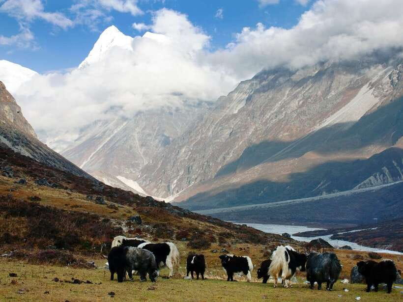 Kathmandu: 6 Days Langtang Valley Trek with Kyanjin Ri - Day 6: The road back to Kathmandu
