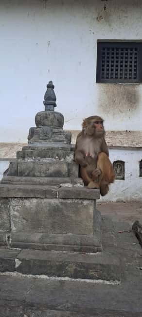 Kathmandu: Chandragiri cable car & Swayambhunath Tour - Is $115 good value?