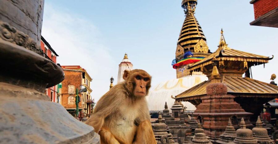 Kathmandu: Chandragiri cable car & Swayambhunath Tour - Riding the Chandragiri cable car