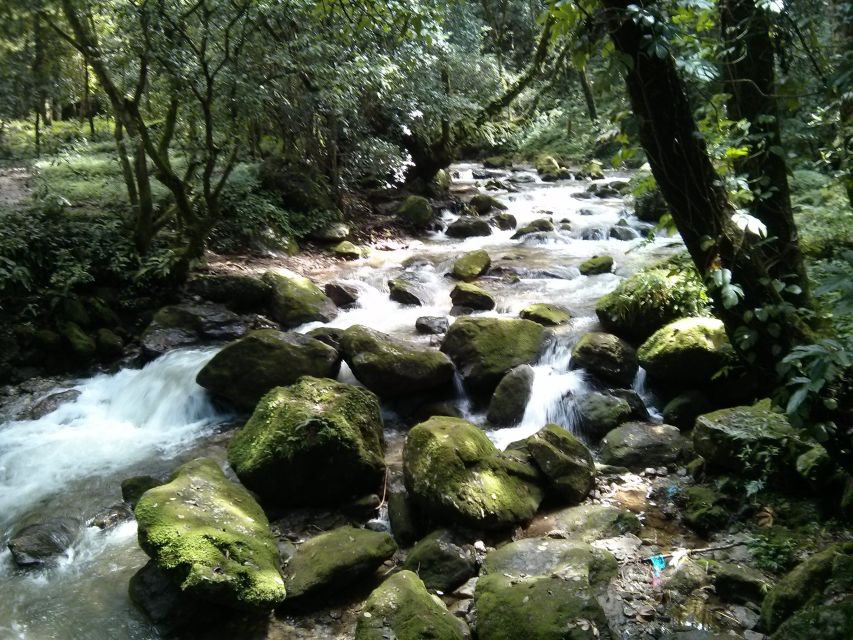 Kathmandu: Chisapani Nagarkot 3-Days 2-Nights Trek - Why this Kathmandu Valley trek works so well