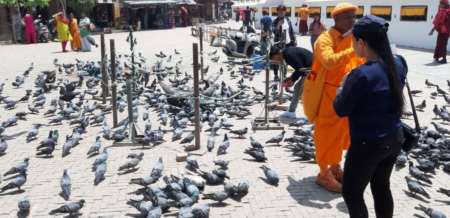 Kathmandu: Guided -Day Tour of World Heritage Sites - Who should book this tour?