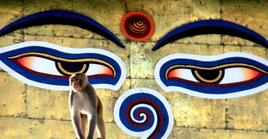 Kathmandu: Monkey Temple and Chandragiri Cable Car Ride Tour - Why this Kathmandu pairing works