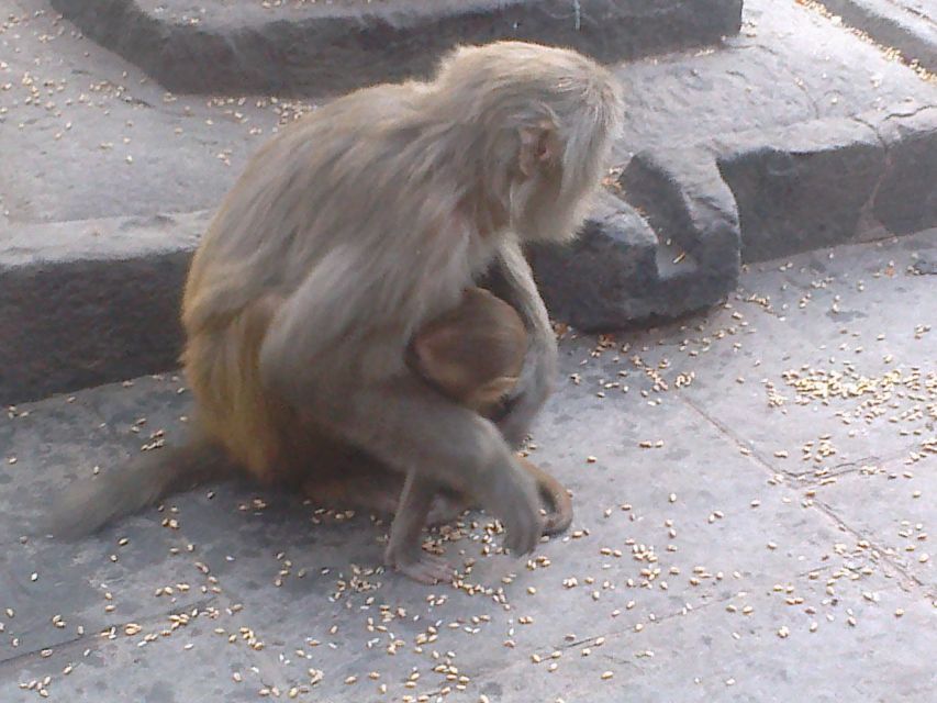 Kathmandu: Monkey Temple and Chandragiri Cable Car Ride Tour - What the guide adds to the day
