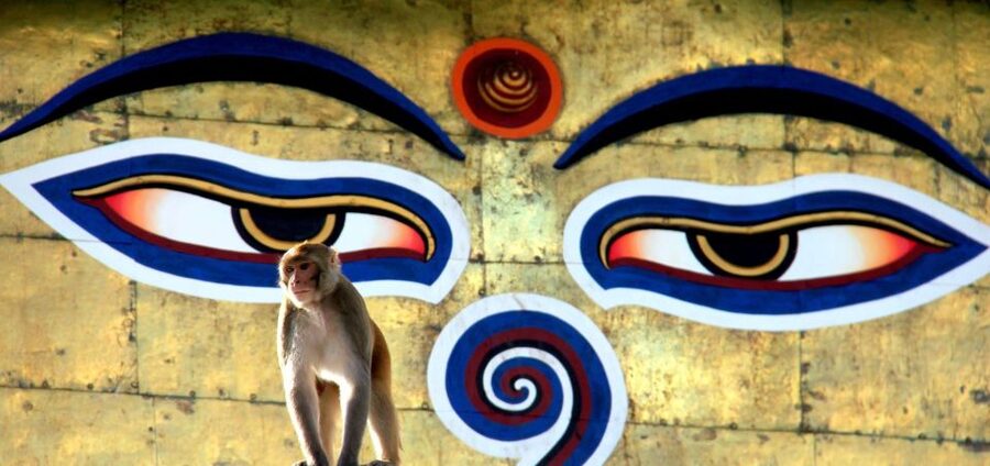 Kathmandu: Monkey Temple and Chandragiri Cable Car Ride Tour - Who will get the most from this tour