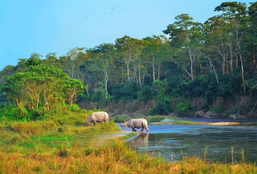 Kathmandu/Pokhara: 3 Day Chitwan Jungle Safari Tour - Quick take: what makes this Chitwan trip worthwhile