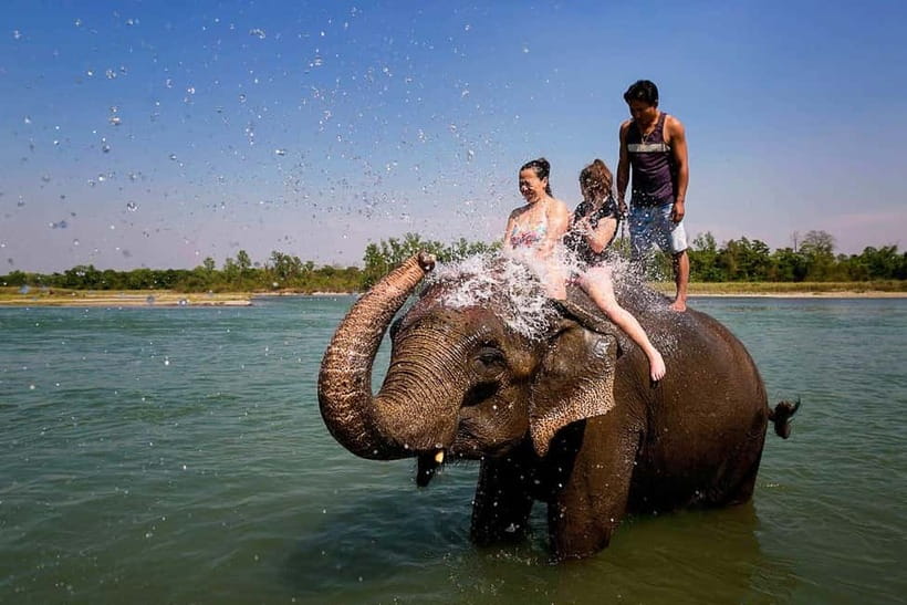 Kathmandu/Pokhara: 3 Day Chitwan Jungle Safari Tour - Who should book this safari?