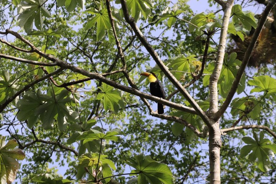 Kathmandu/Pokhara: Wildlife, Culture and Jungle Safari Tour - Elephants, the village visit, and the human side of Chitwan