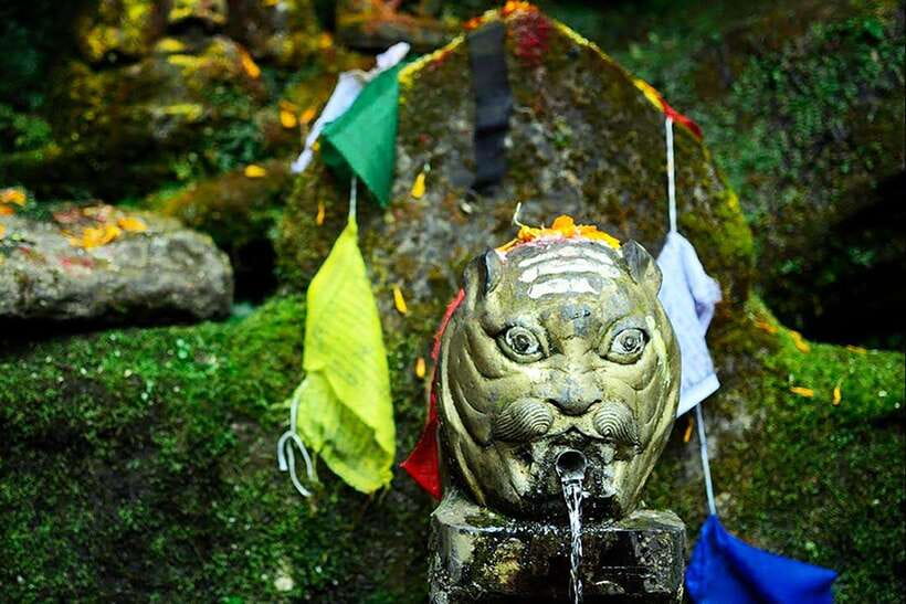Kathmandu: Shivapuri Day Hike with Lunch - Key points to know before you book