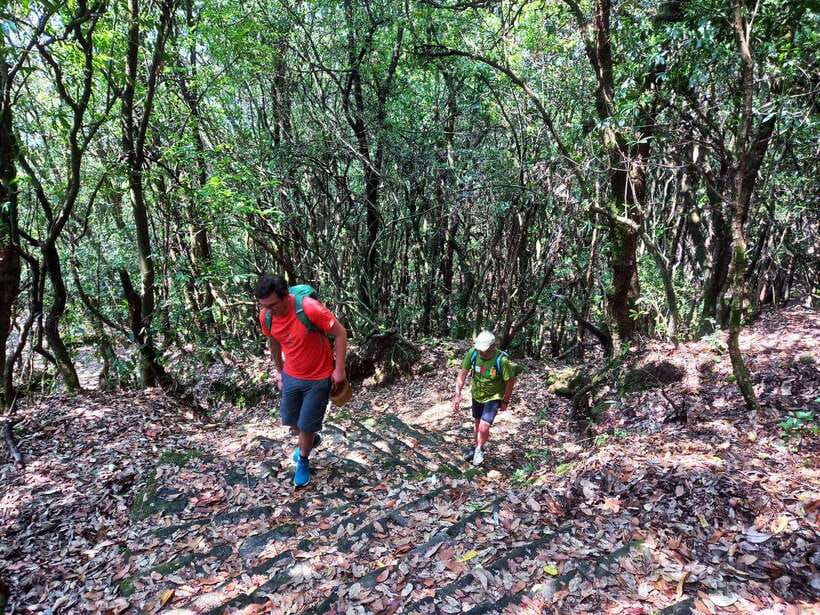 Kathmandu: Shivapuri Day Hike with Lunch - Wildlife and birdwatching along the way