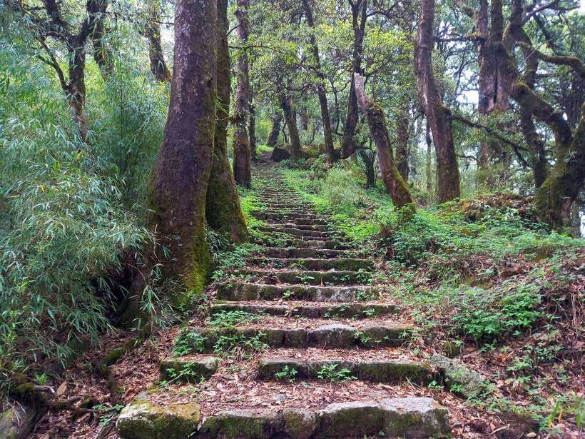Kathmandu: Shivapuri Day Hike with Lunch - Guides who shape the day