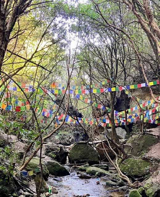 Kathmandu: Shivapuri Hill Day Hike with Lunch box - Fitness, Weather, and What to Pack