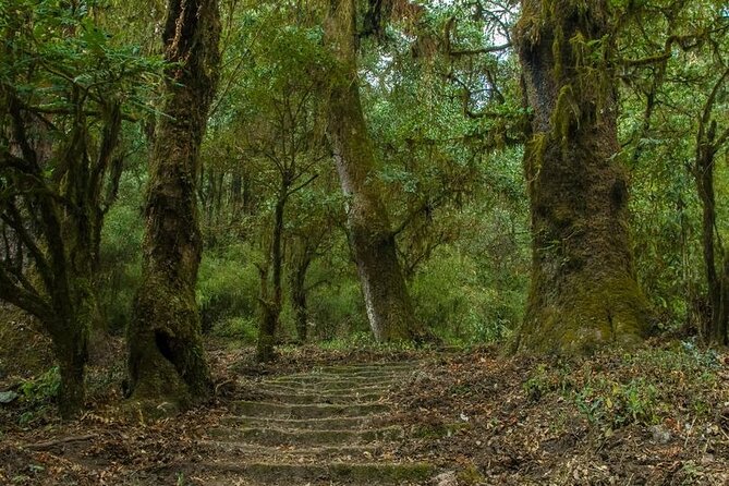 Kathmandu Shivapuri National Park and Nagarkot Hiking - 3 Days - Why this short Kathmandu hike works
