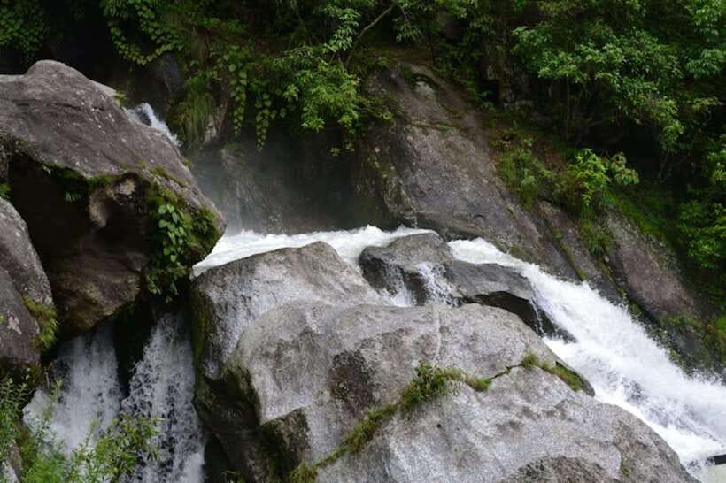 Kathmandu: Shivapuri National park Day Hiking - Bird calls, orchids, and spring rhododendrons
