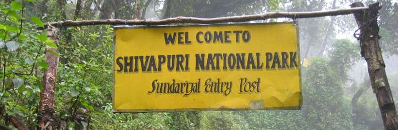 Kathmandu: Shivapuri National park Day Hiking - What the guide adds to the day