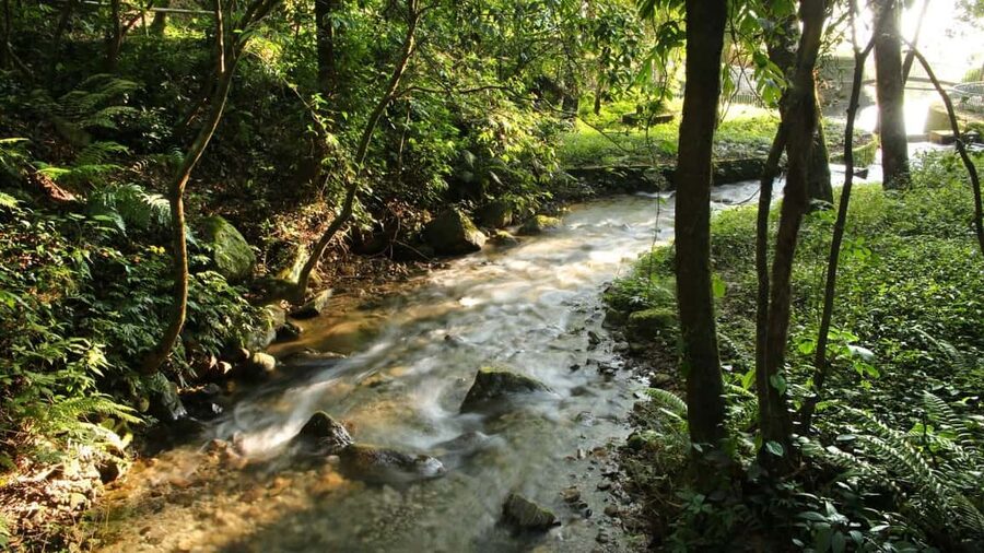 Kathmandu: Shivapuri National Park Hiking Day Trip - Fitness, clothing, and what to carry