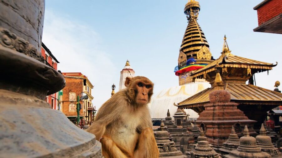 Kathmandu : Swambhunath & Durbar Square Guided Half Day Tour - Reading Kathmandu Durbar Square’s Carved Details