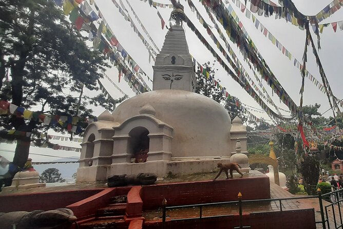 Kathmandu Top 4 or 2 UNESCO World Heritage Sites Day Tour - Boudhanath and Kathmandu’s Tibetan Buddhist center