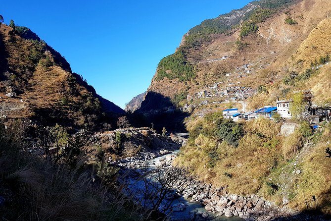 Langtang Valley Trek - Day 6: Returning through pine forest