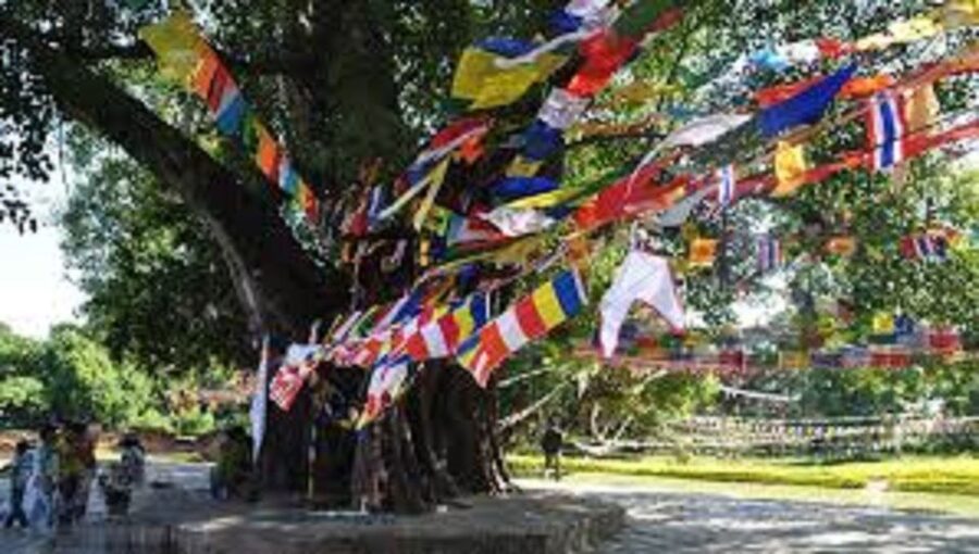Lumbini Full day tour with Guide - Why Lumbini feels different from a normal sightseeing stop