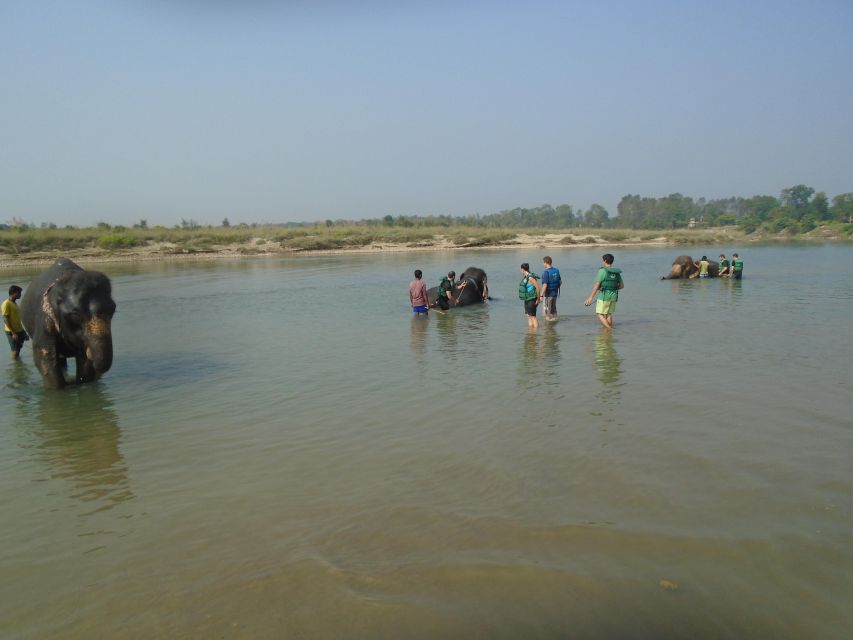 Luxury Chitwan Jungle Safari Package (2Nights/3Days) Resort - A resort stay that keeps the safari easy