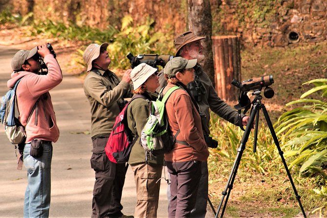 Nepal Birding - The Chitwan and Gadhi-Siraichuli possibility